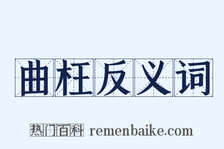 曲枉反义词是什么意思的图片